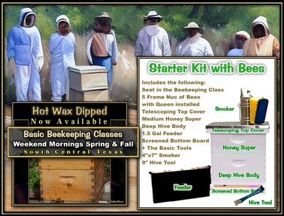 Apiary Starter Kits