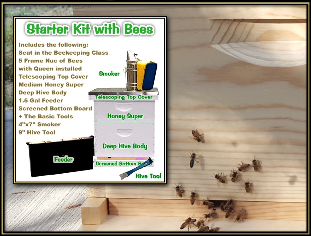 Apiary Starter Kits Image 2