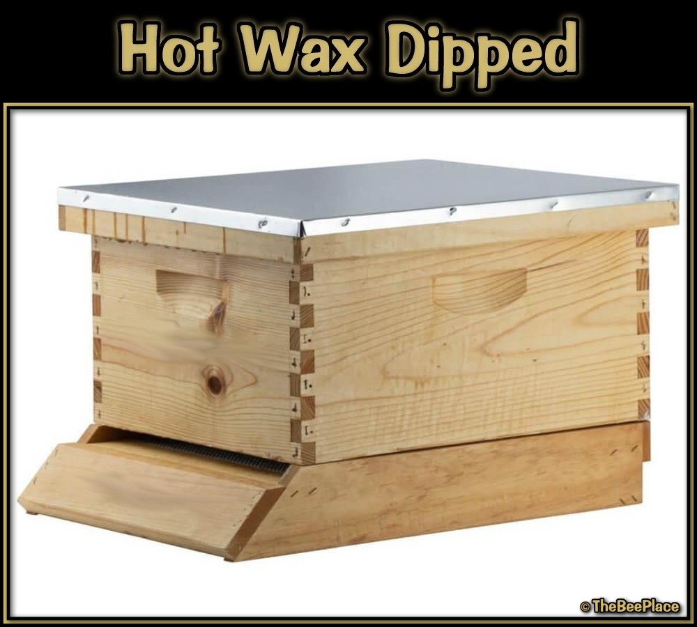 Single Deep Hives Image 4