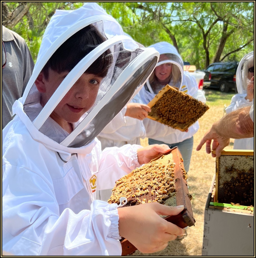 Basic Beekeeping Class Image 3