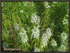 Learning Center Image 2