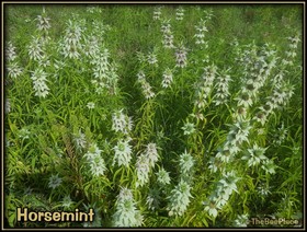 Learning Center Image 3