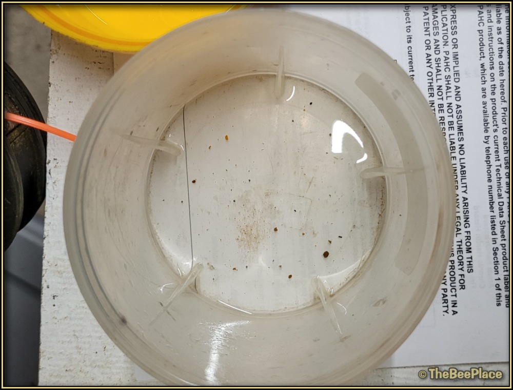 Learning Center Image 5