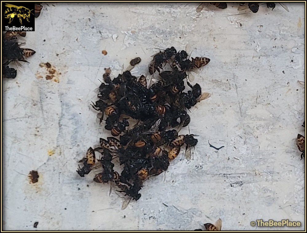 Learning Center Image 8