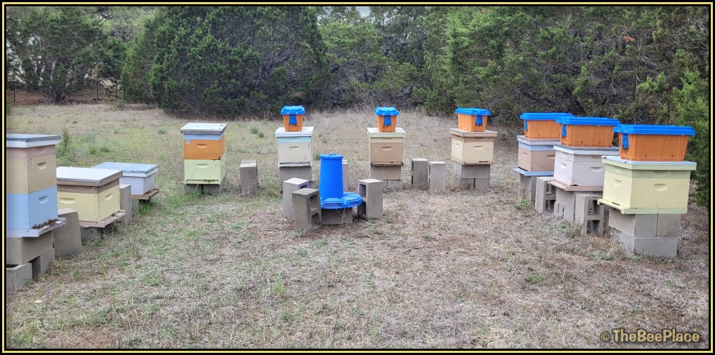 Semicircle arrangement of beehives in on concrete block stands with pollen feeder
