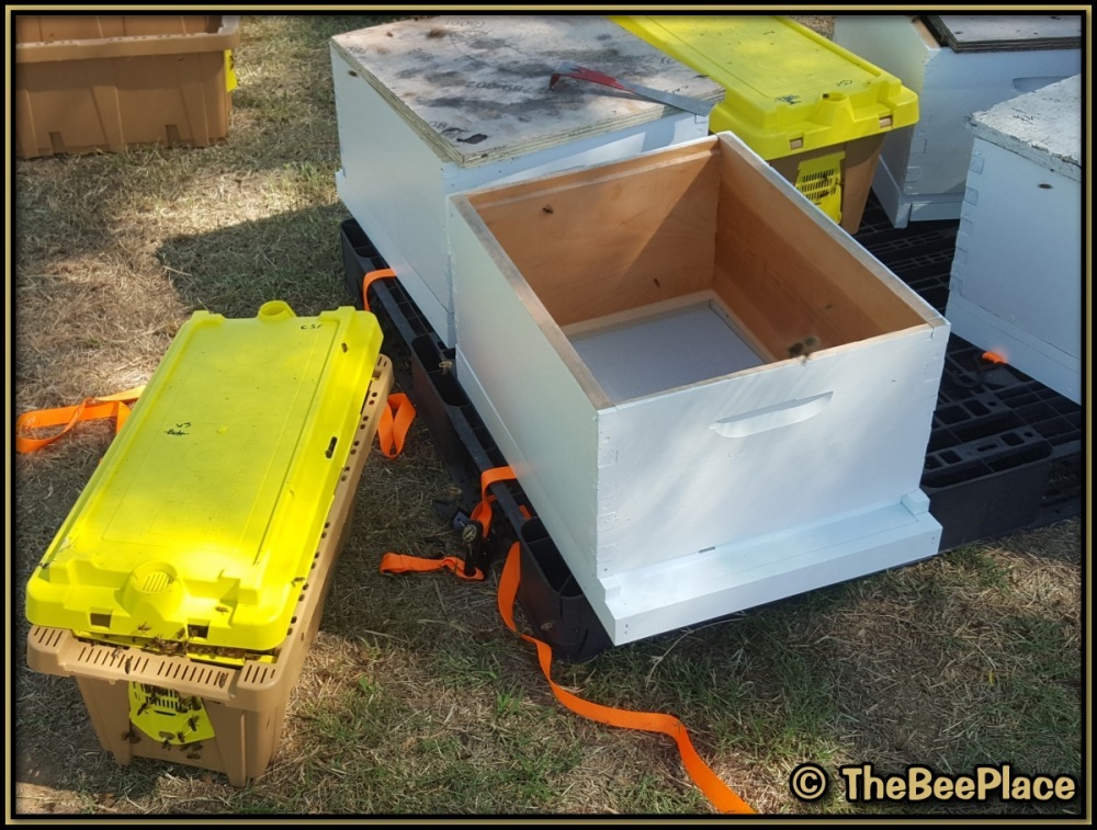 Empty hive box beside nuc transport box ready for installation