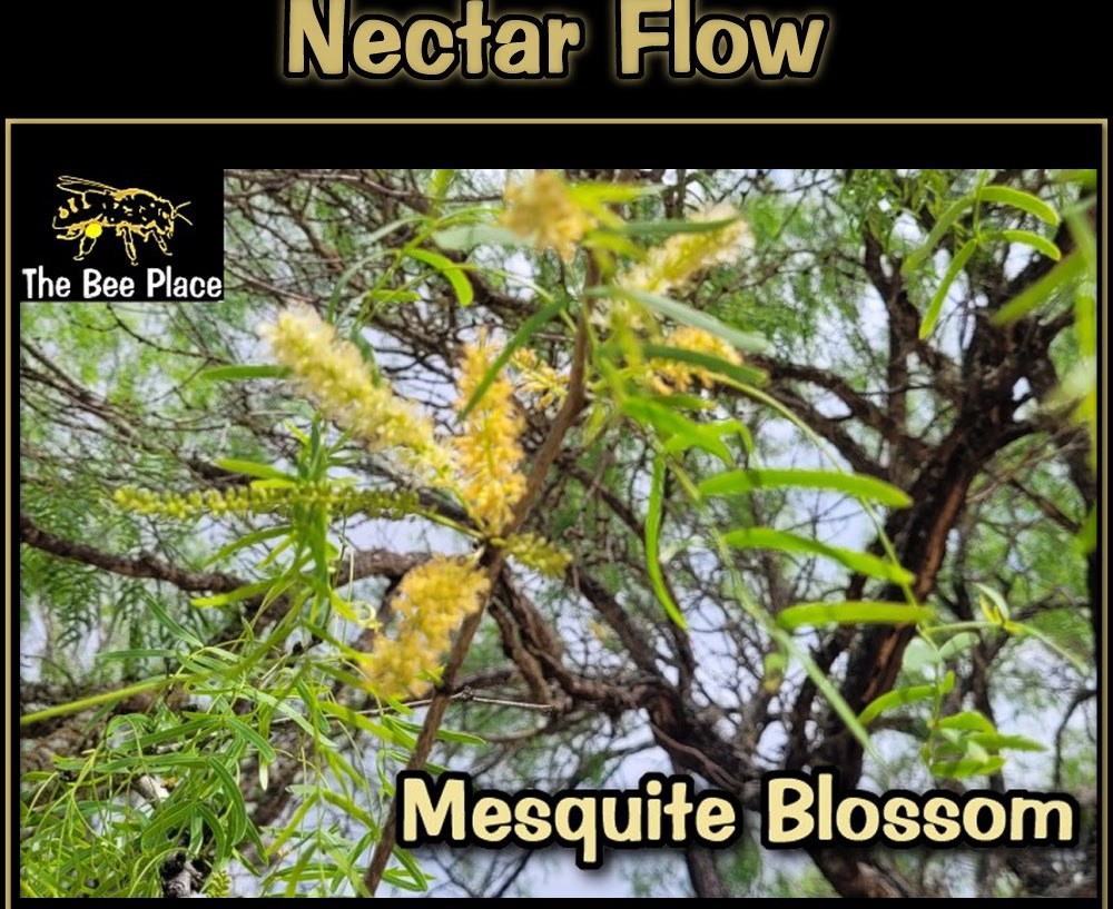 Nectar Flow 01