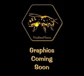 Bee Health And Queen Questions 02