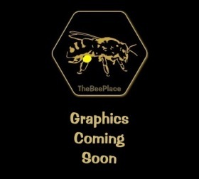 Bee Health And Queen Questions 08