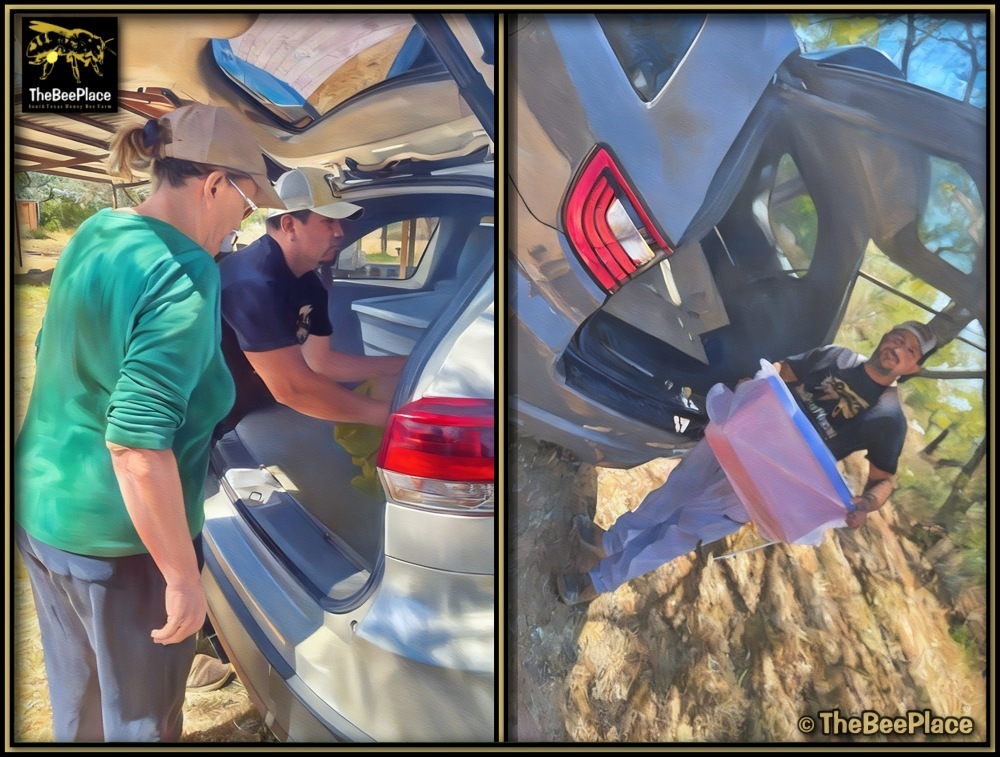 Order Pickup Instructions 02