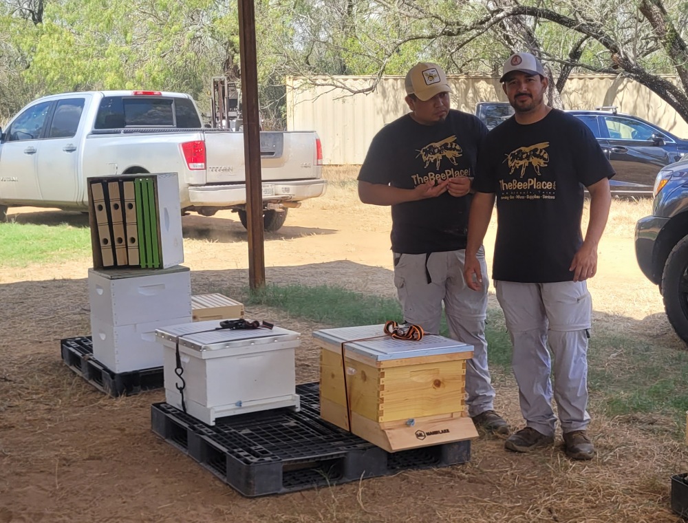 Transporting Bees 06