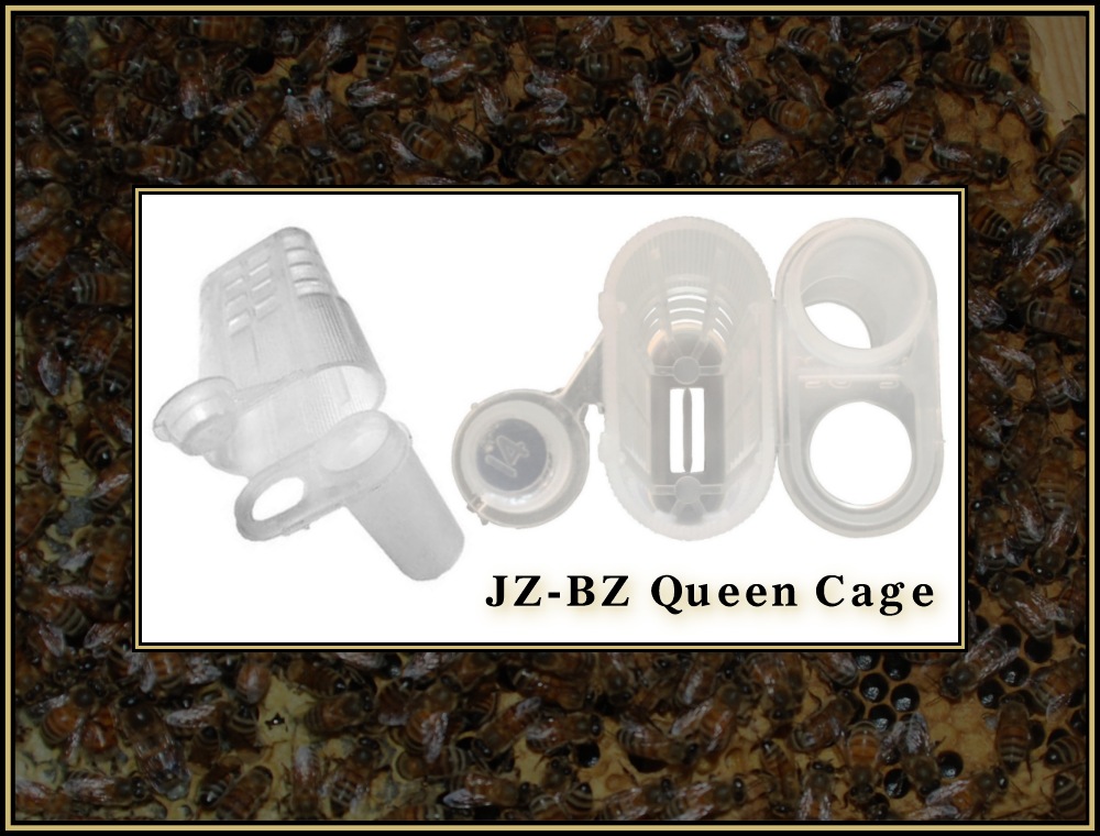 Installing Queens 05