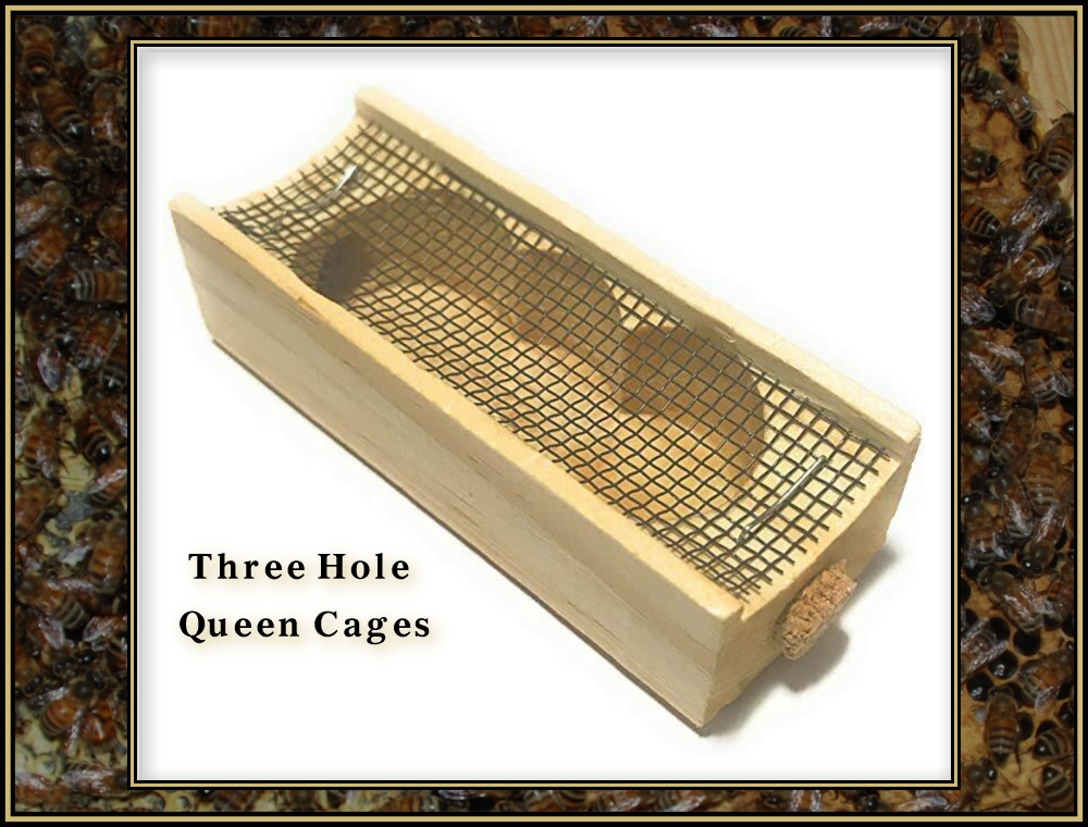 Installing Queens 06