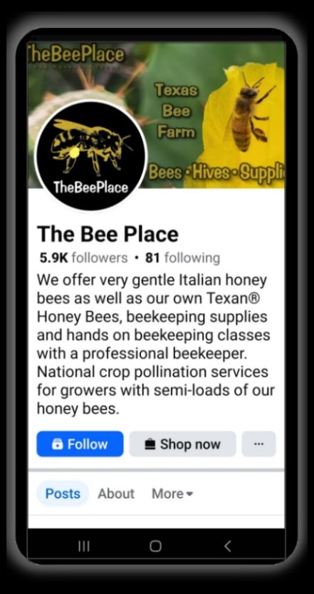 Follow The Bee Place 01