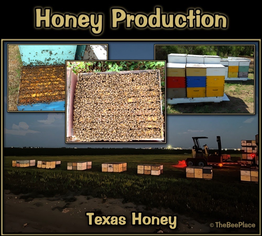 Honey Production 01