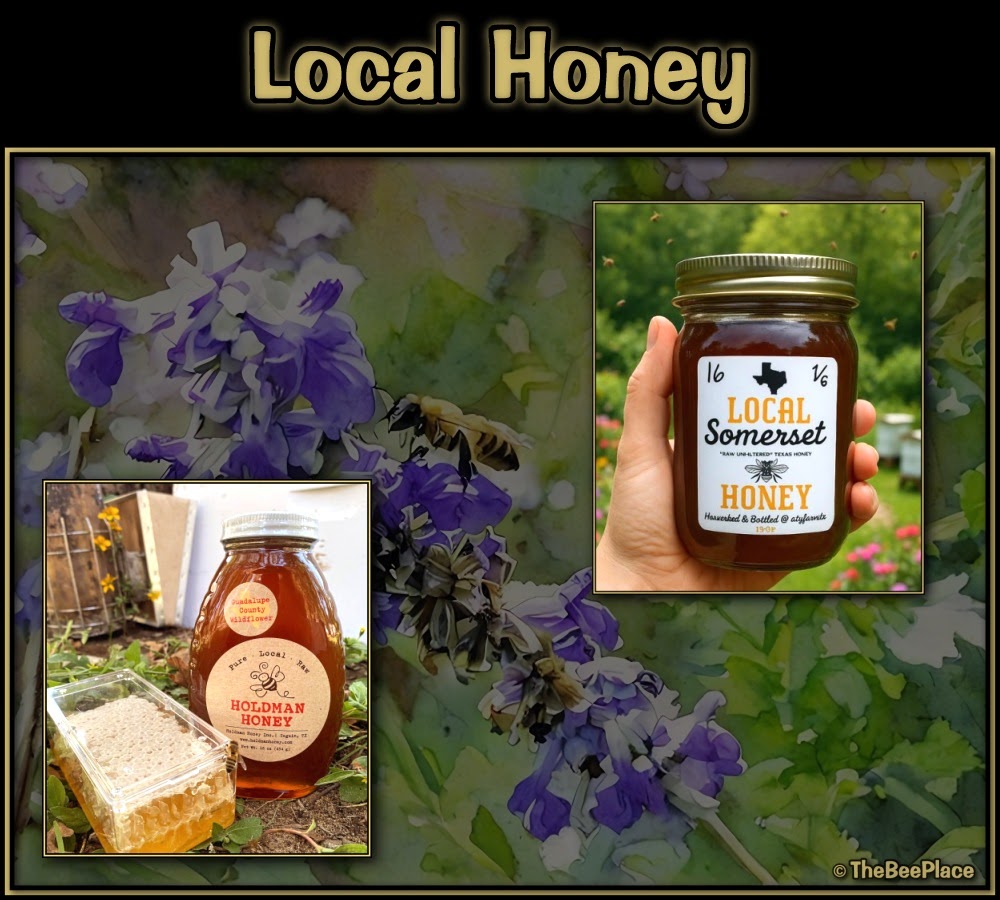 Local Honey 01
