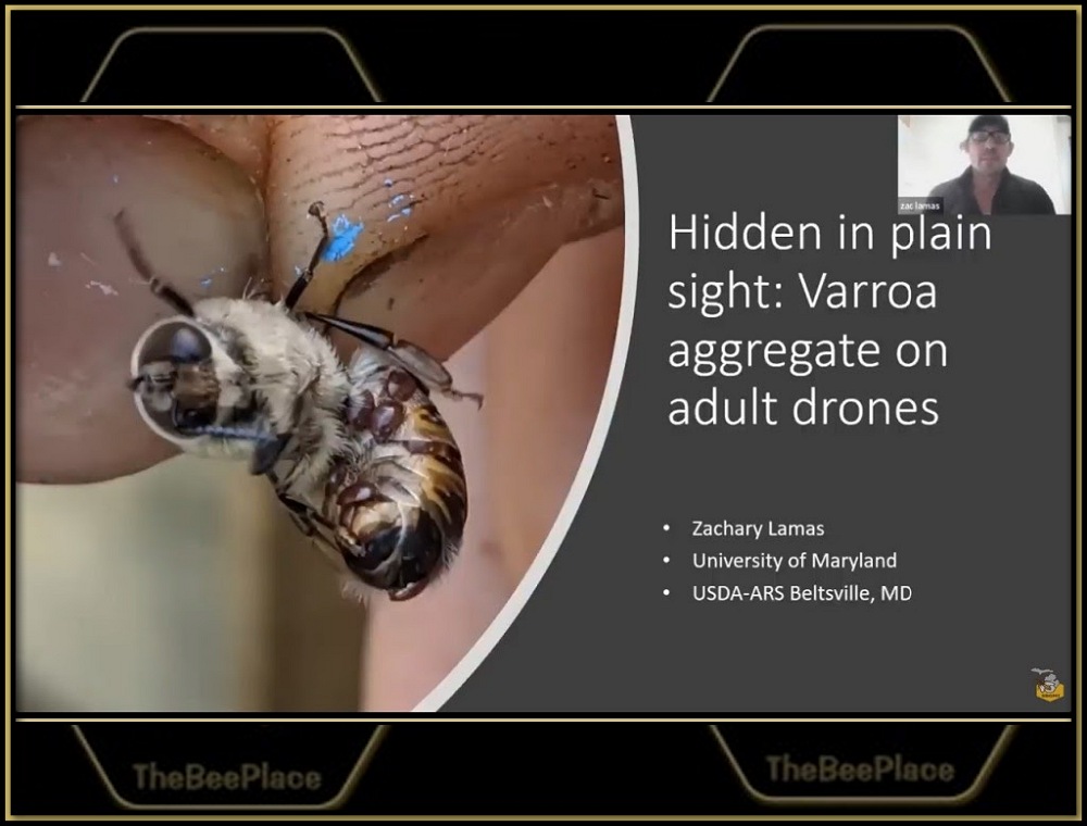 Additional Resources 06