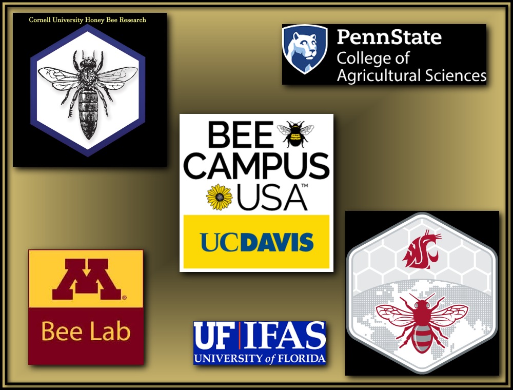 Additional Resources 08