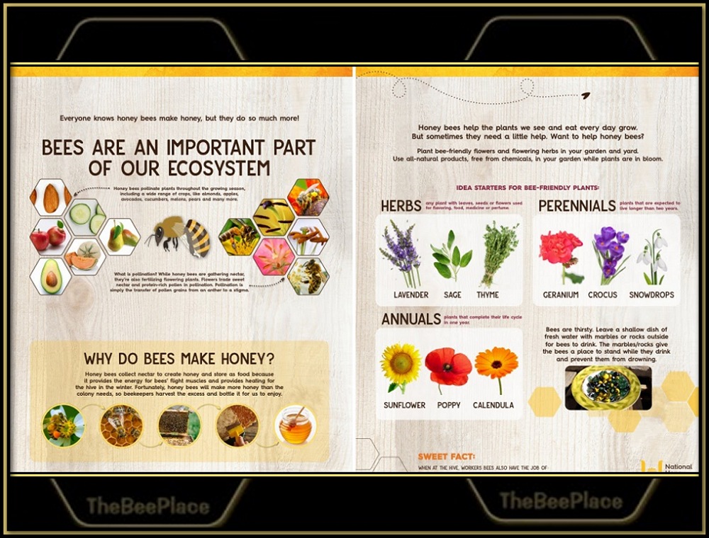 Additional Resources 10