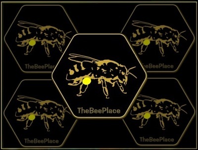 About Africanized Bees