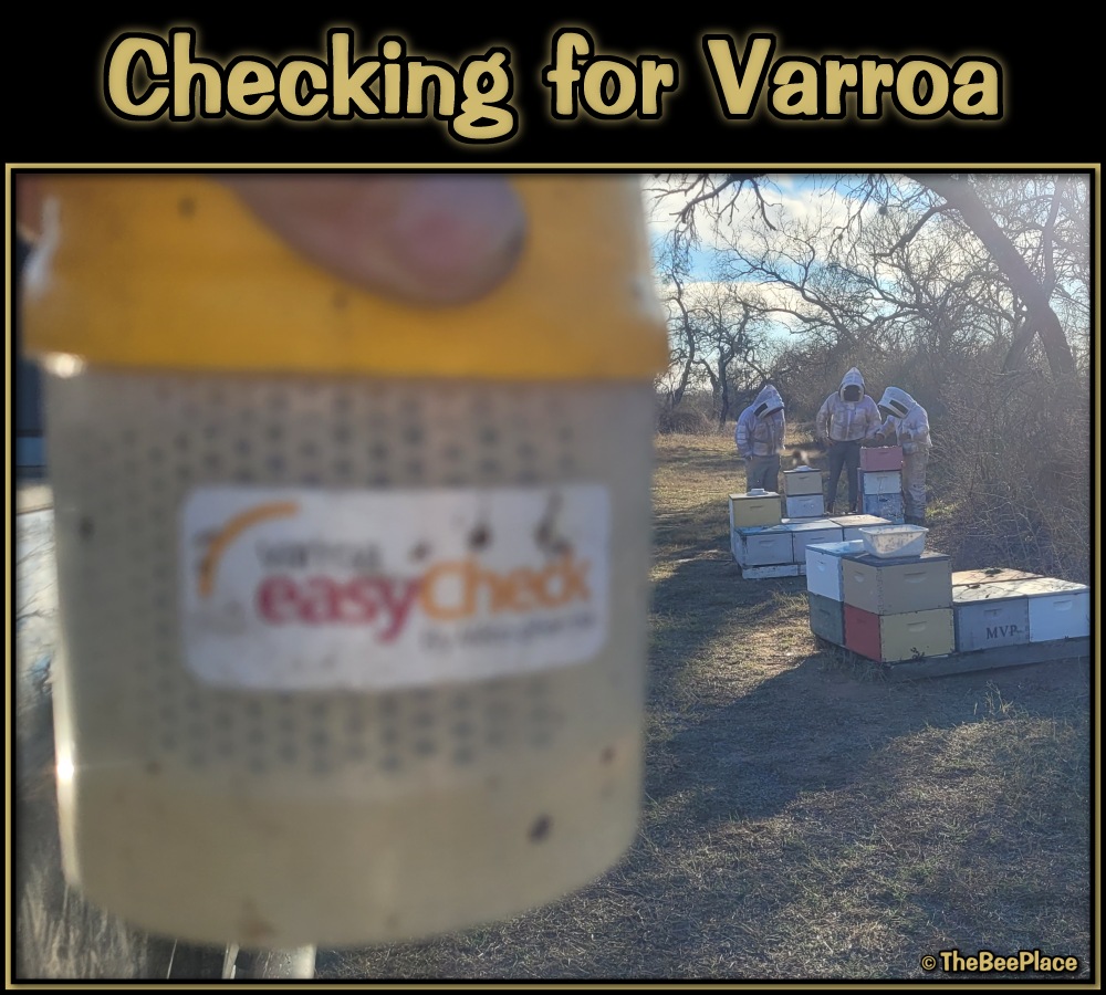 Checking For Mites 01