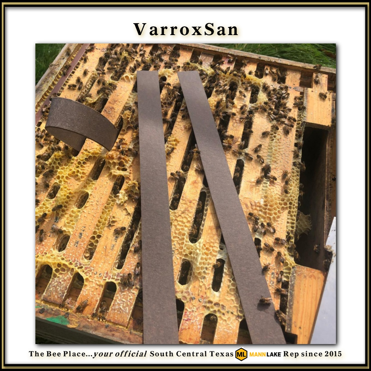 Varroxsan Image 2